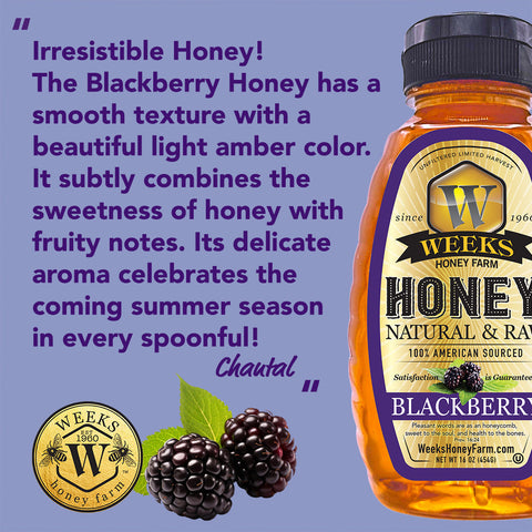 Weeks Raw Blackberry Honey; 16 Ounce - Honey - Only $13.99! Order now at Weeks Honey Farm Fast shipping and excellent customer service.