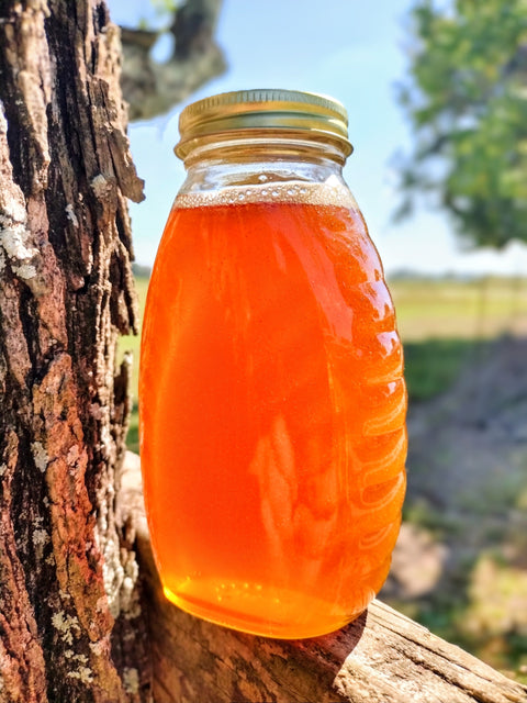 Weeks Pure Raw Tupelo Honey is a Georgia Delight: 16 oz - Honey - Only $23.99! Order now at Weeks Honey Farm Fast shipping and excellent customer service.