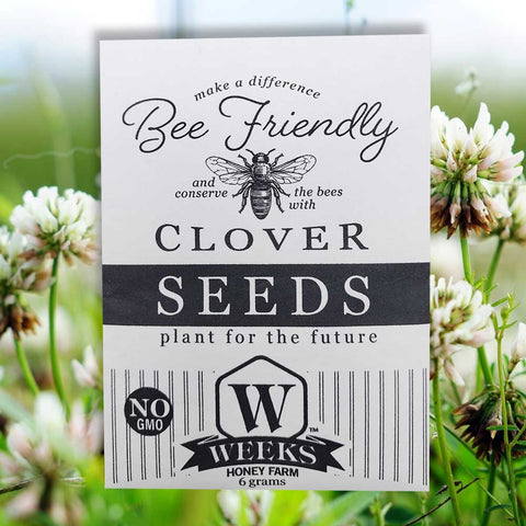 Bee Friendly Seed Collection Inspired by Our Honey Bees Favorite Flowers (3 Pack) - Gifts - Only $9.99! Order now at Weeks Honey Farm Fast shipping and excellent customer service.